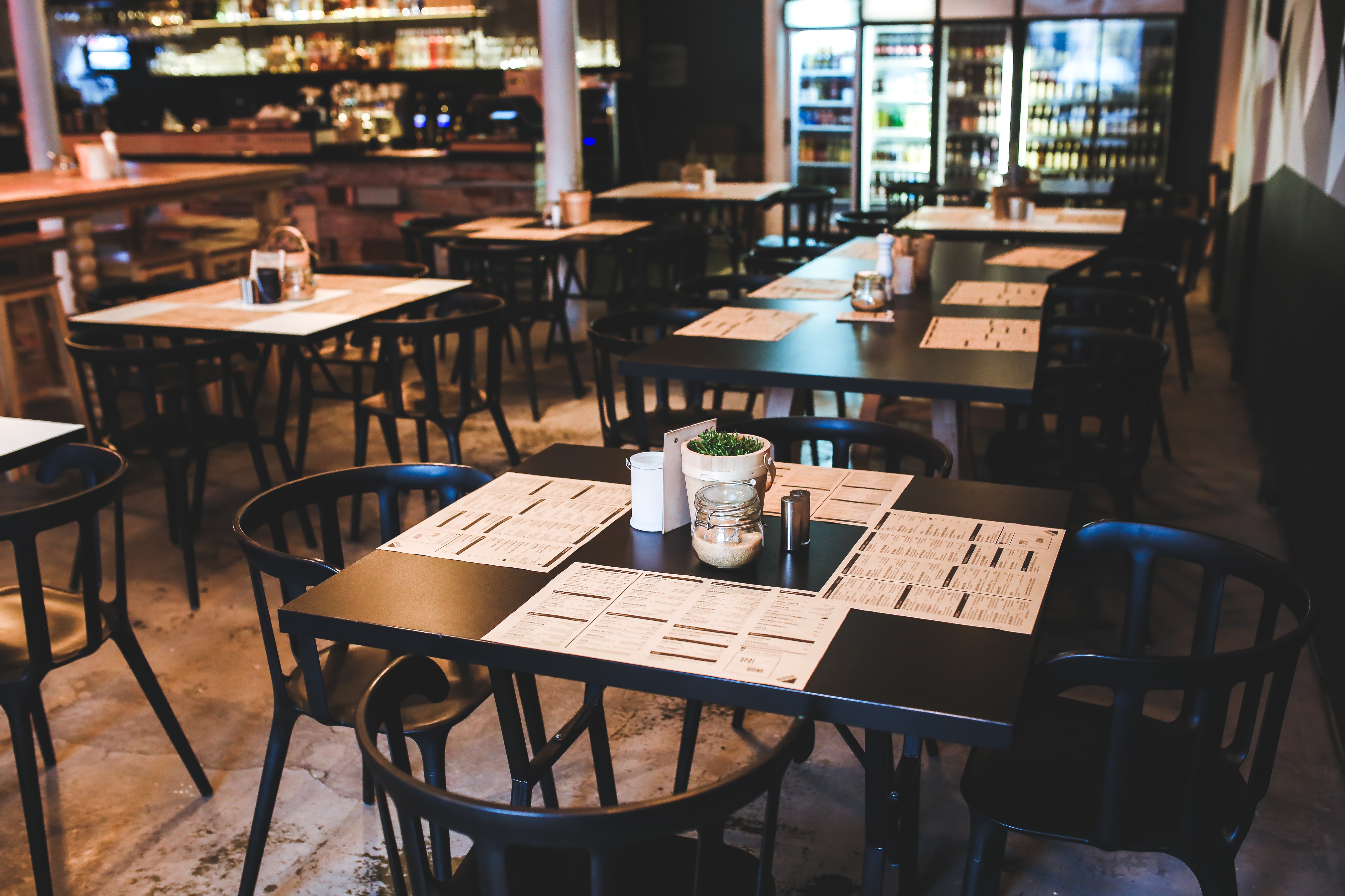 Modern Restaurant Chairs